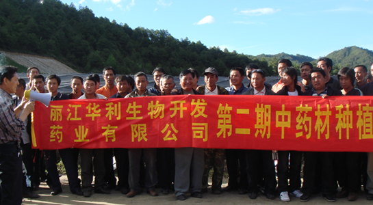 丽江华利生物开发药业有限公司第二期药材种植培训