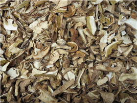 牛肝菌A级  DRIED BOLETUS EDULIS    GRADE A