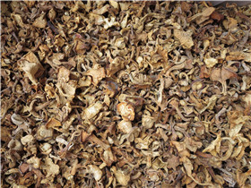 鸡油菌 DRIED CHANTERELLE