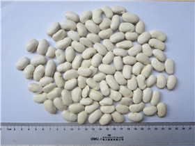 芸豆 日标75粒