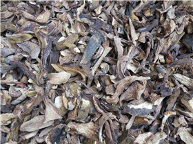 牛肝菌C级 DRIED BOLETUS EDULIS    GRADE C