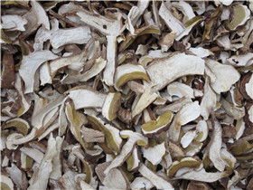 牛肝菌AA级 DRIED BOLETUS EDULIS    GRADE AA